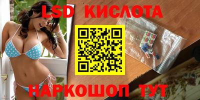 spice Кандалакша