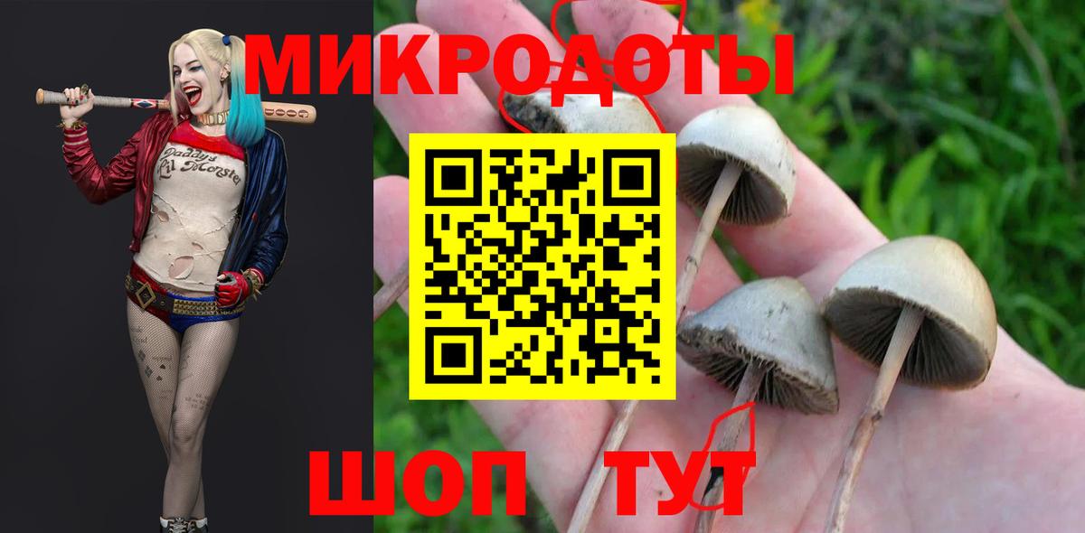 Галлюциногенные грибы прущие грибы Красный Сулин