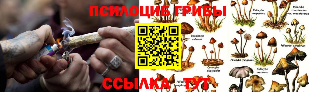 Красный Сулин  купить наркотики цена  Вход с VPN  Псилоцибиновые грибы Magic Shrooms  Псилоцибиновые грибы Psilocybe 